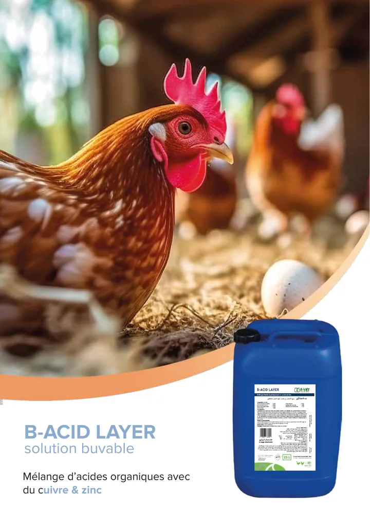 B-ACID LAYER