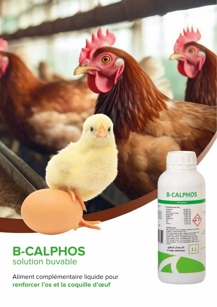 B-CALPHOS
