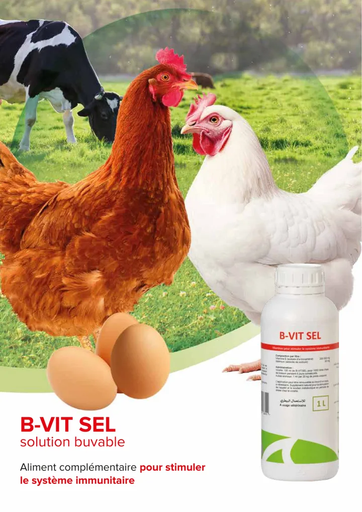 B-VIT SEL